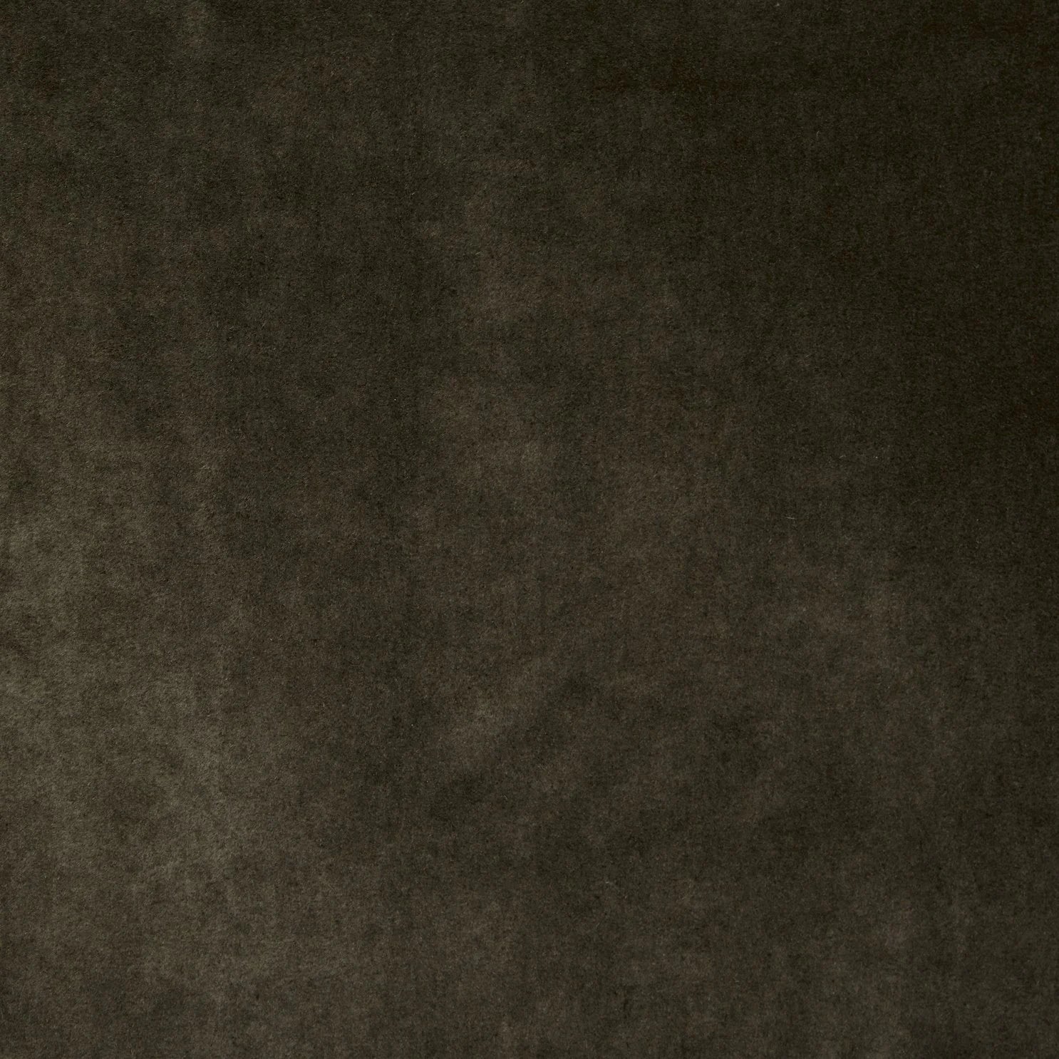 Otto in Smoky Quartz