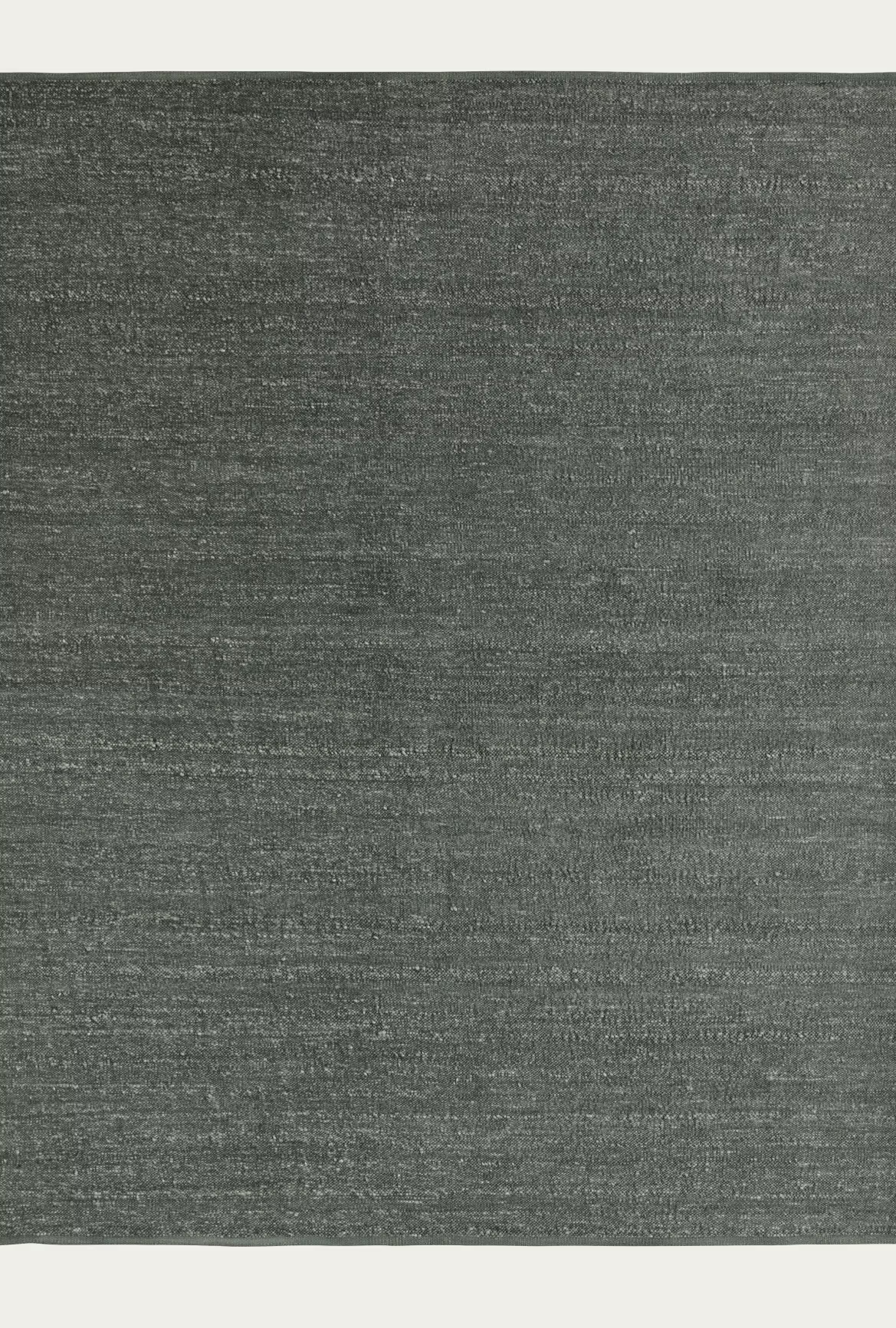Latitude in Pine