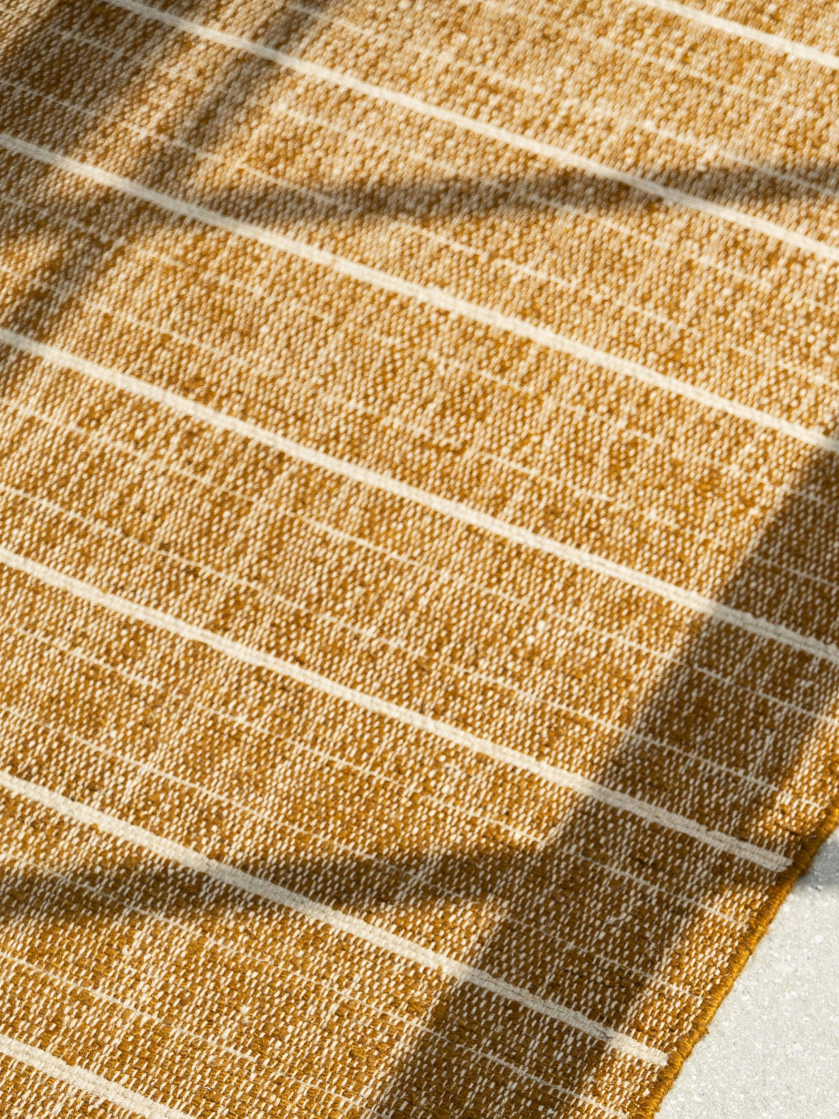 Canvas II in Cognac