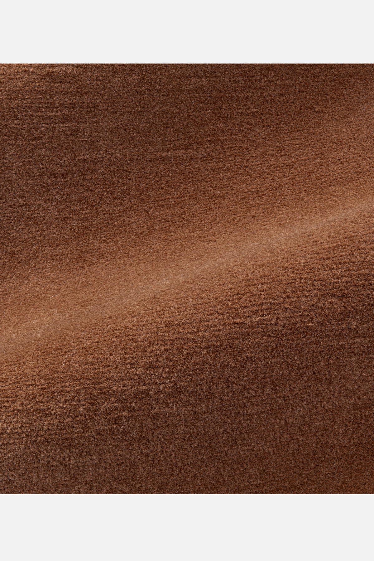 Fallow in Brown