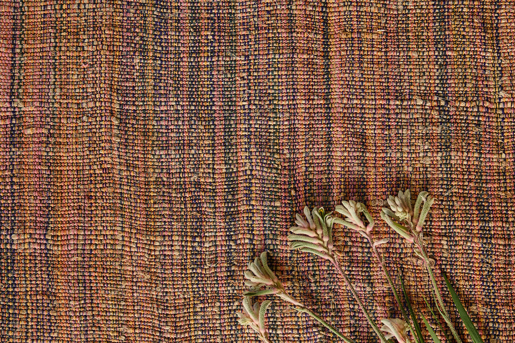 Terroir in Ceylon