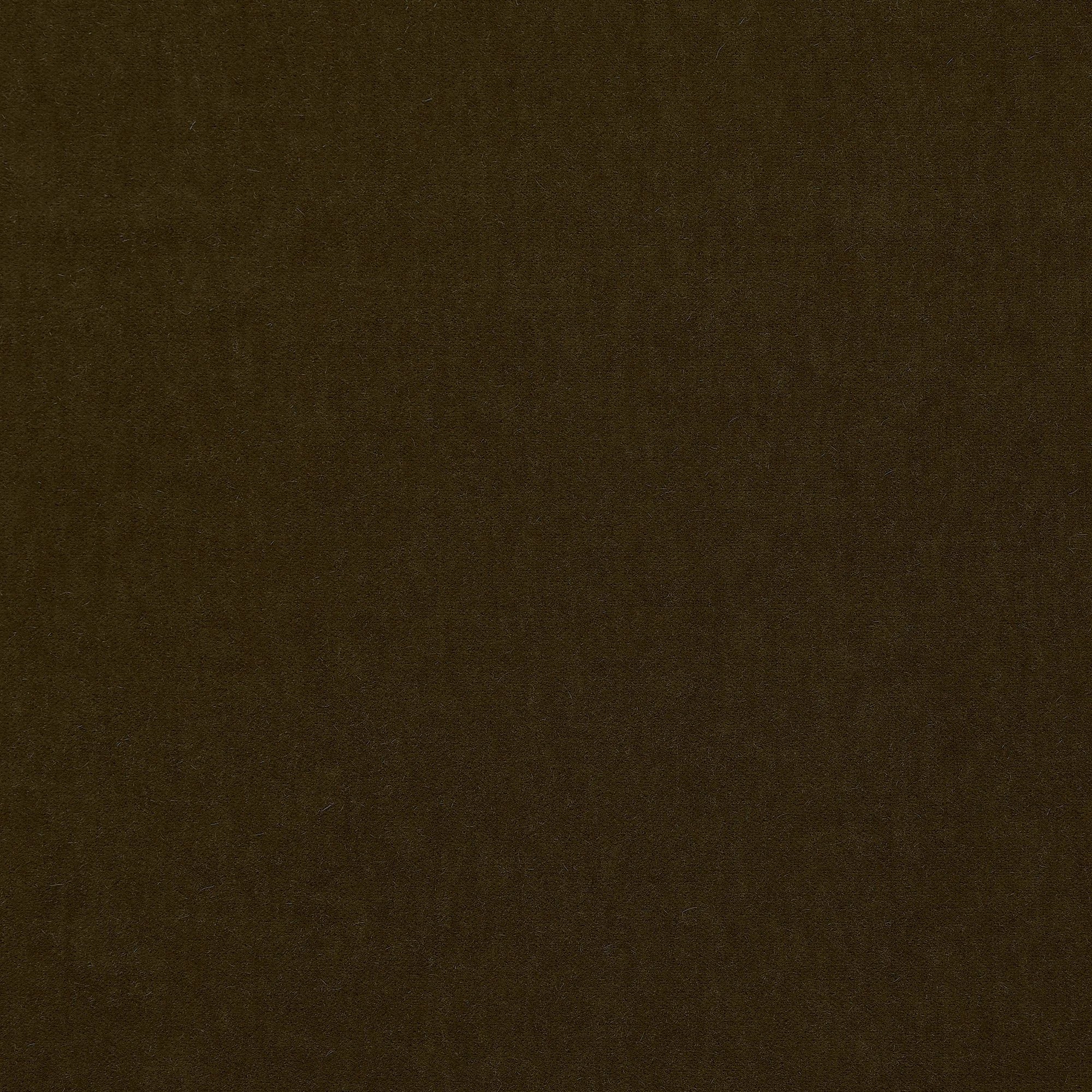 Marci in Anise