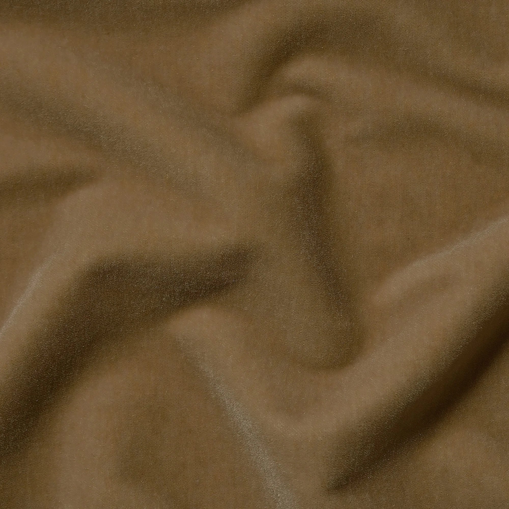 Marci in Camel