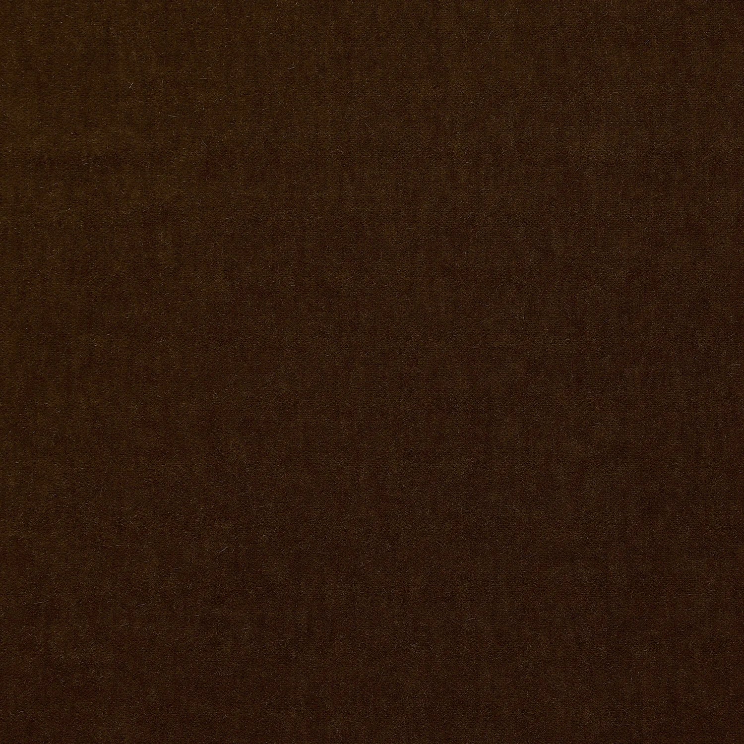 Marci in Molasses