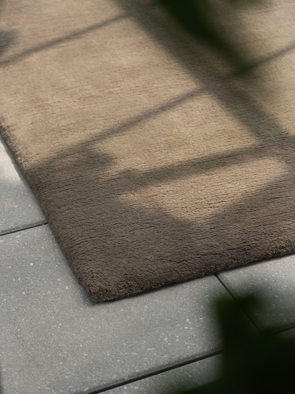 Moss in Light Grey