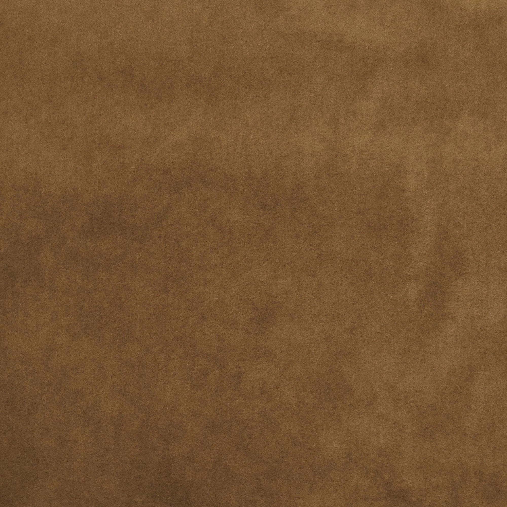 Otto in Butterscotch