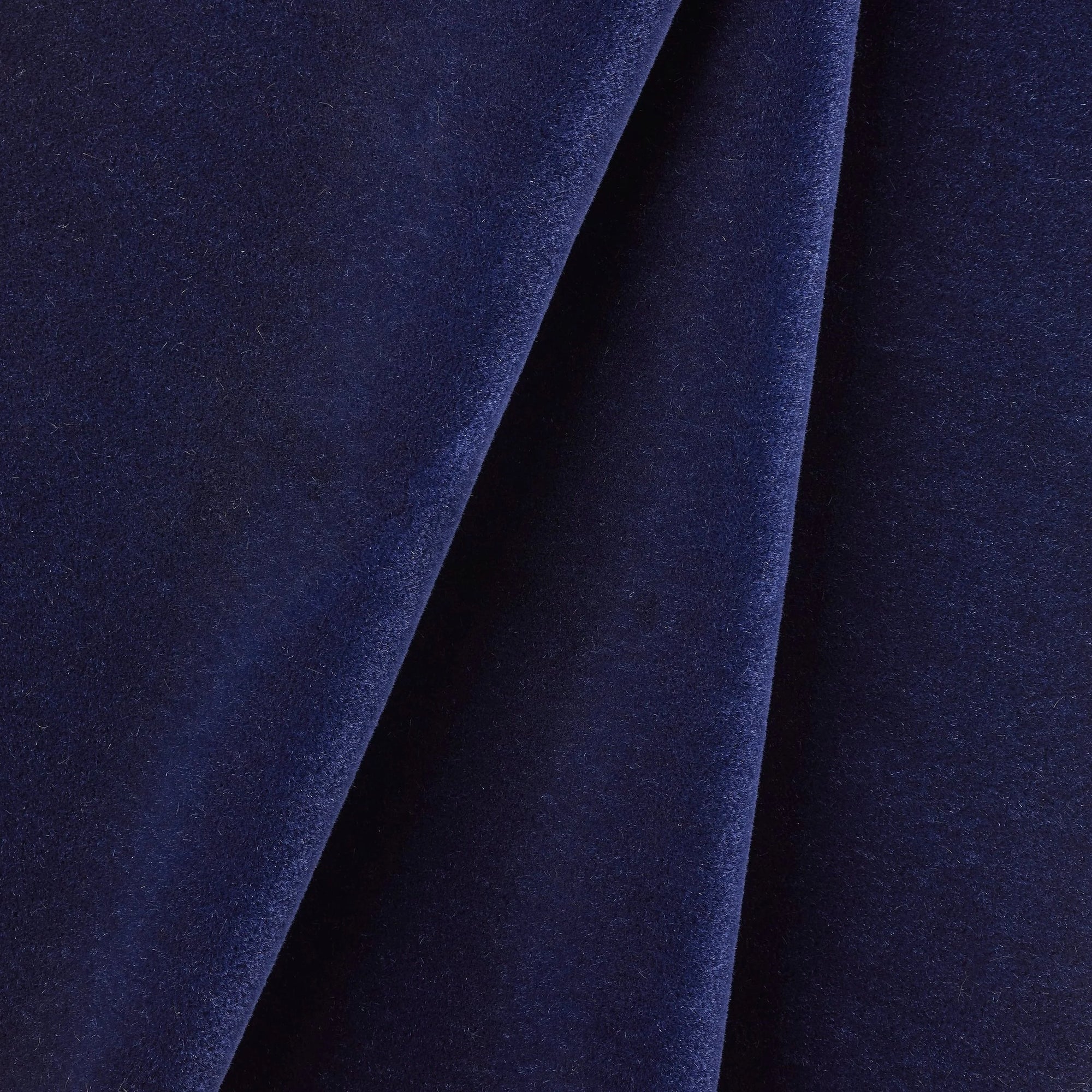 Capretto in Midnight