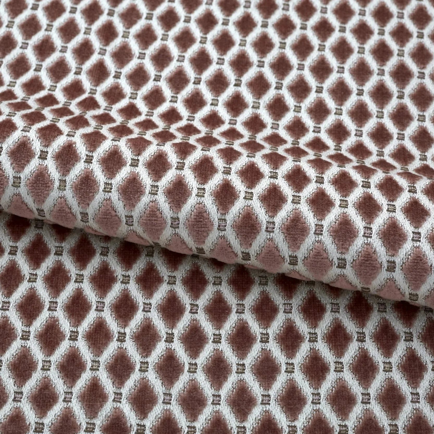 Uncle Edwin in Tea Rose