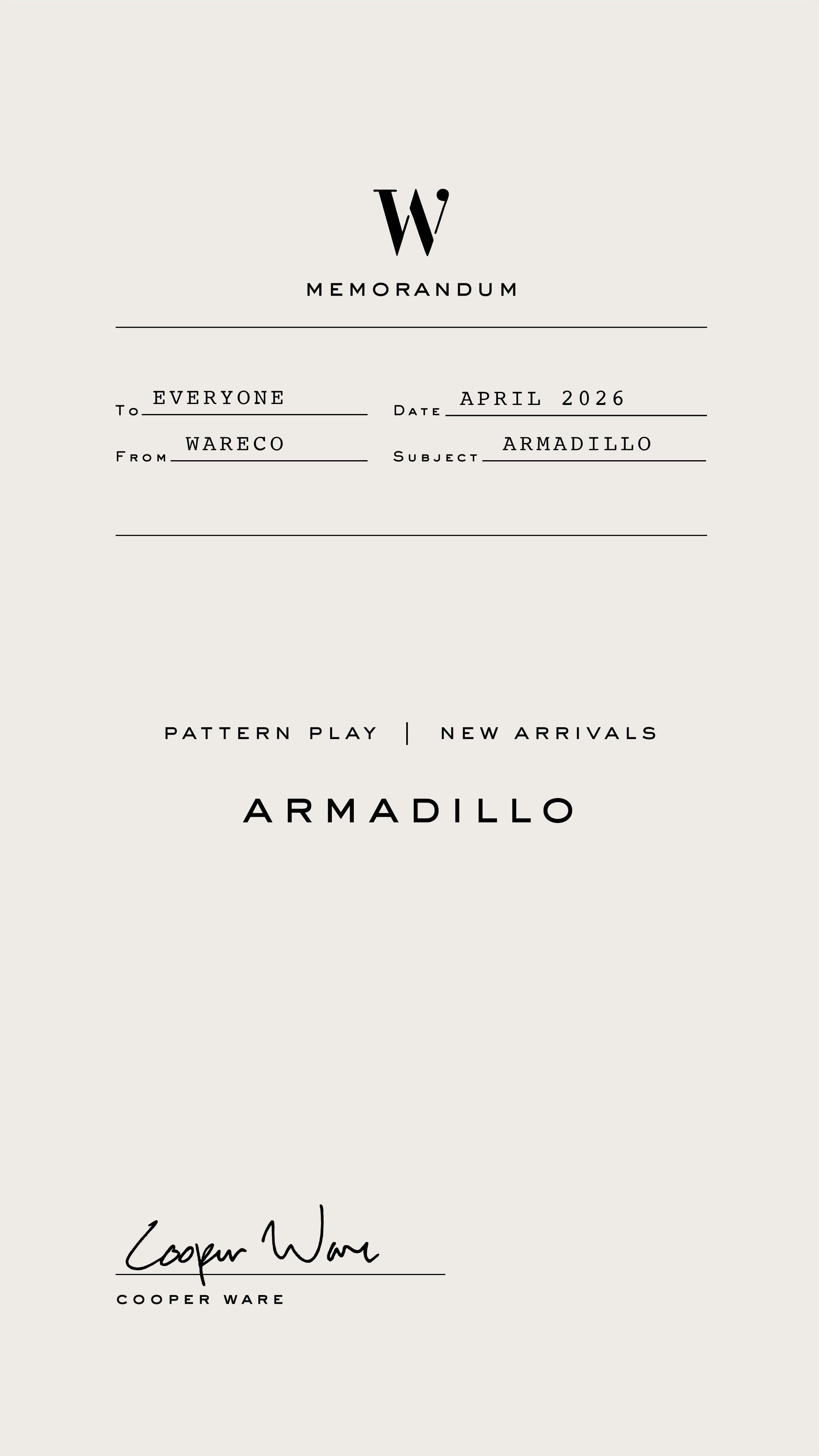 Armadillo 1