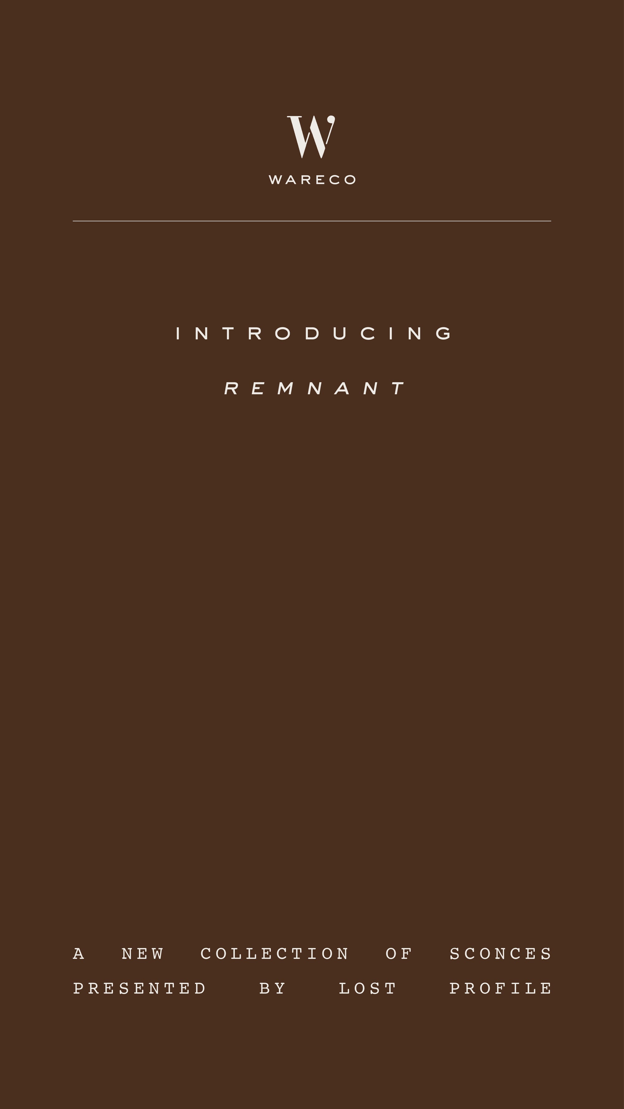 intro-remnant-1
