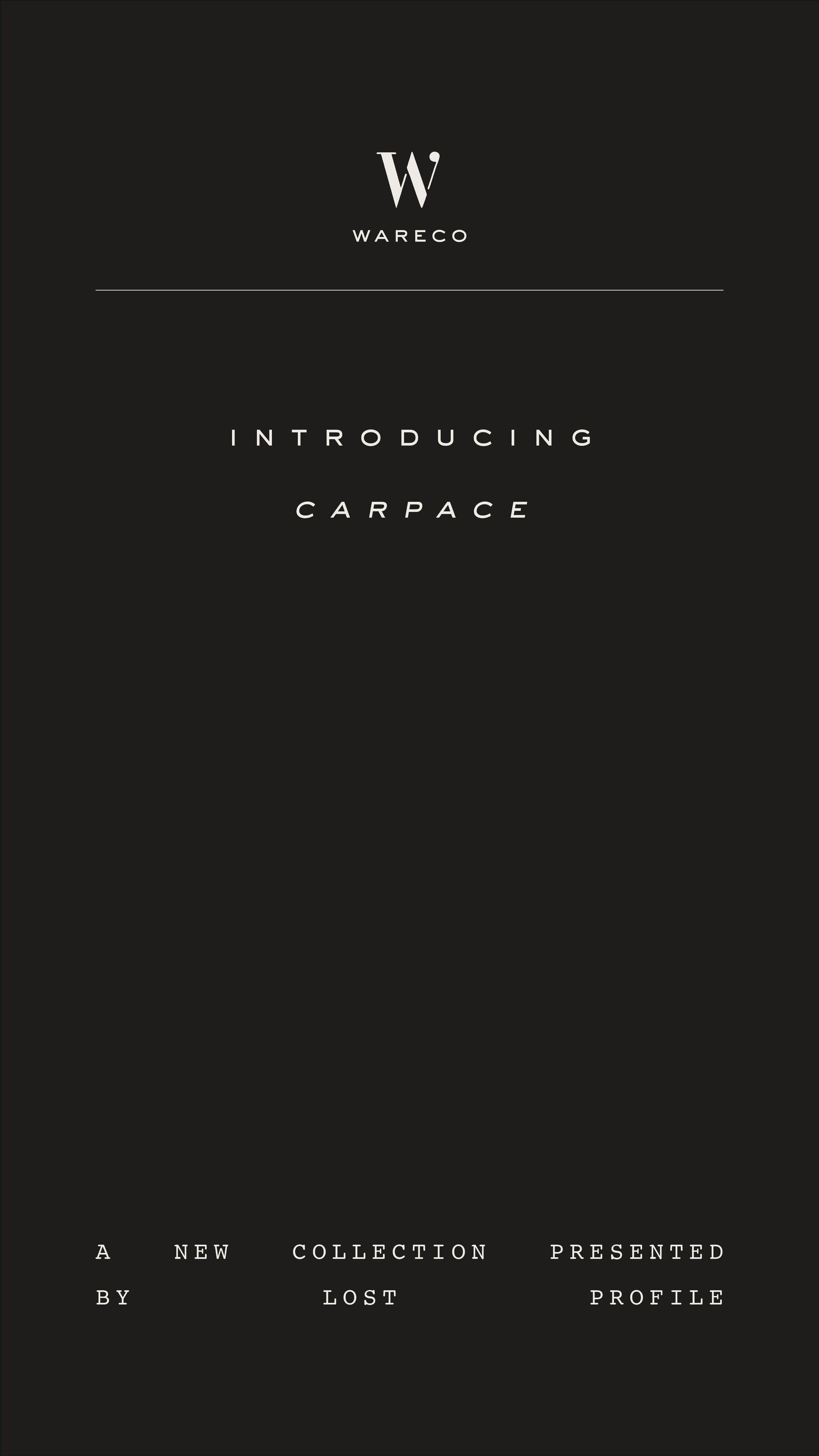 intro-carpace-1
