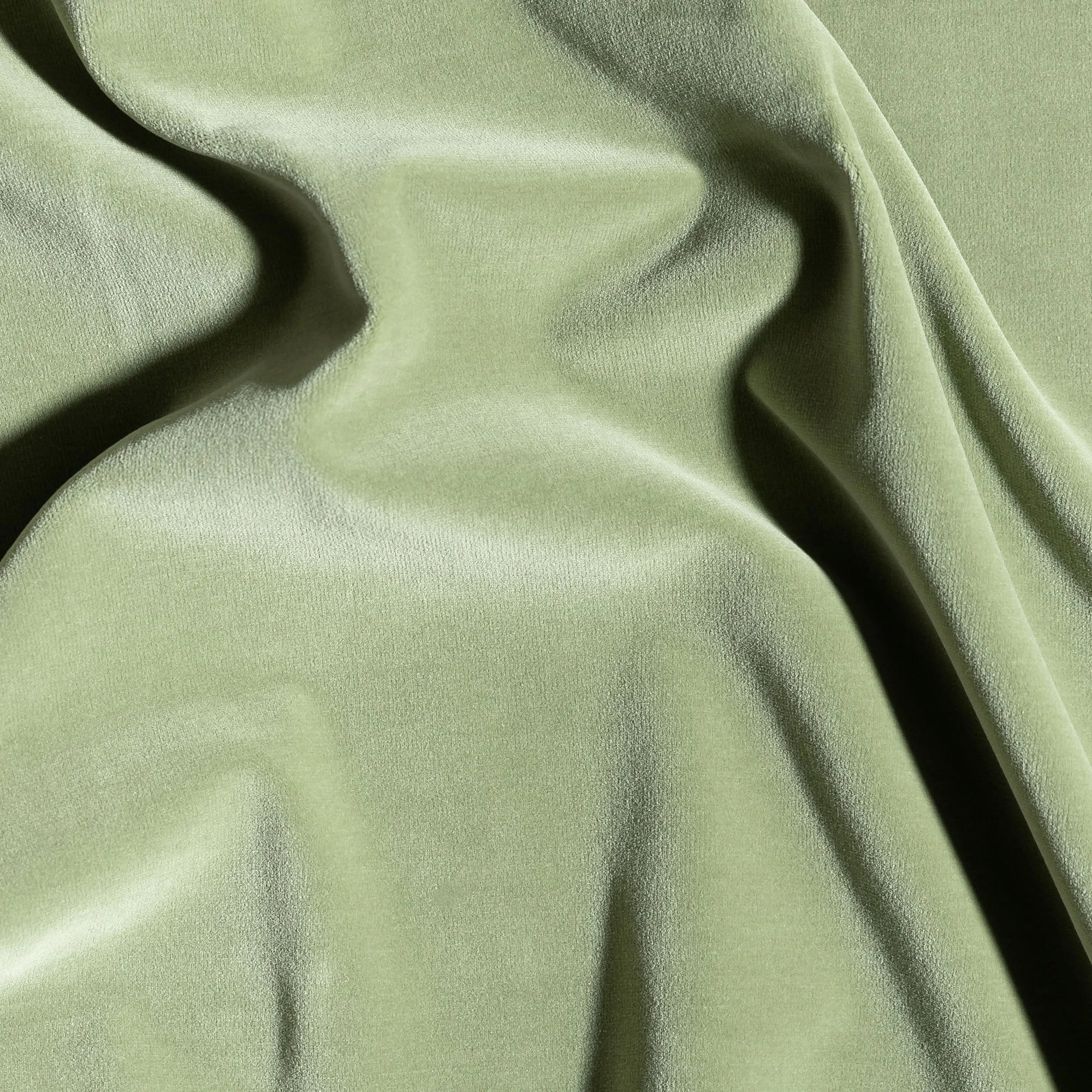 Carnaby in Sage