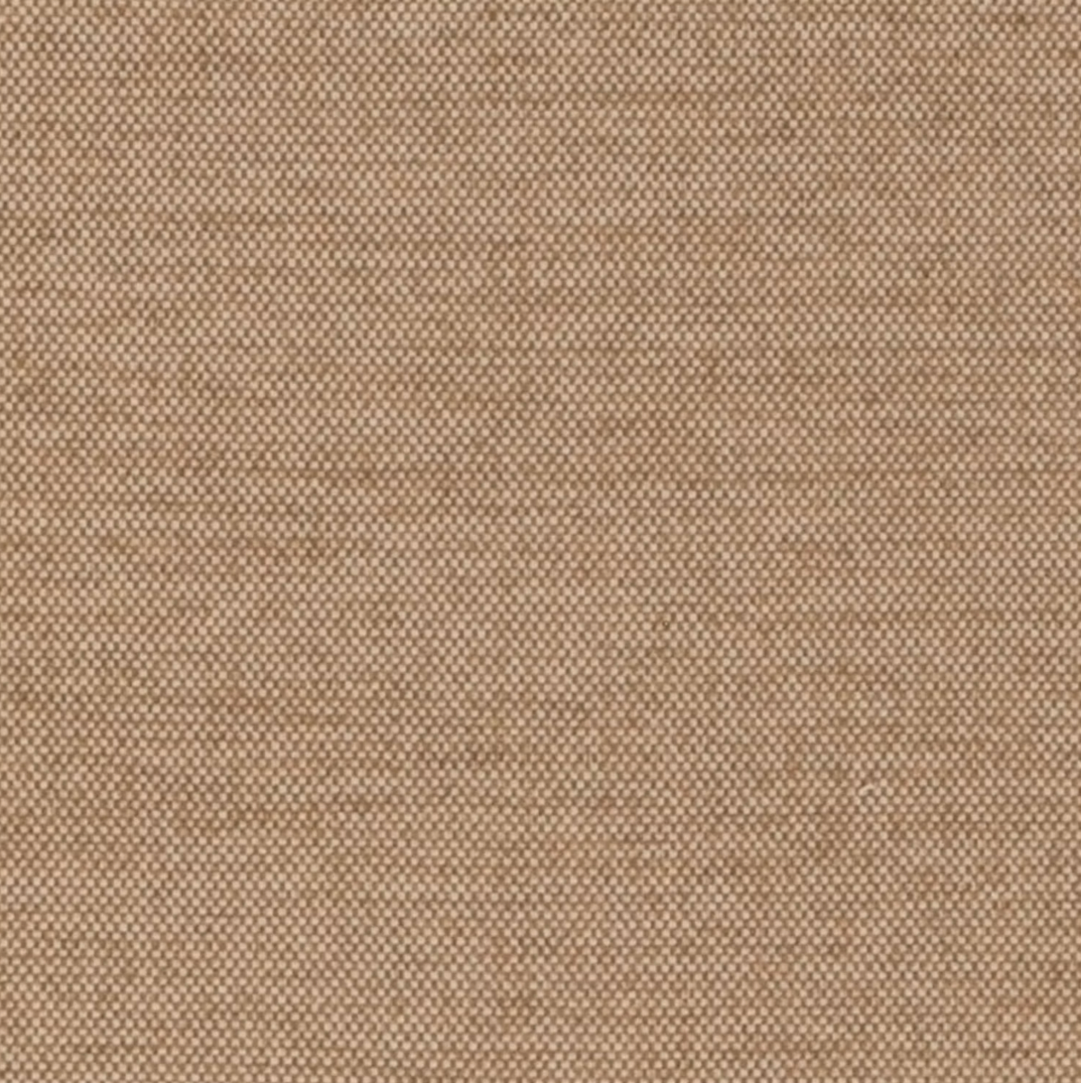 Aniene in Alpaca