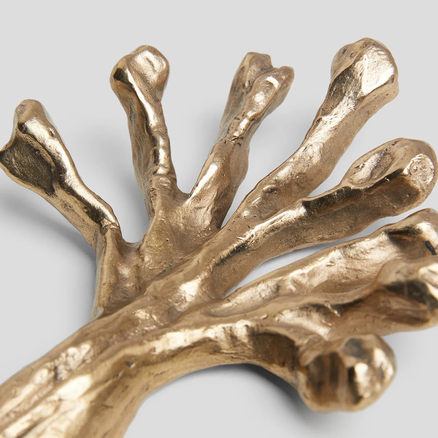 Sylva Rowan Hook in Bronze