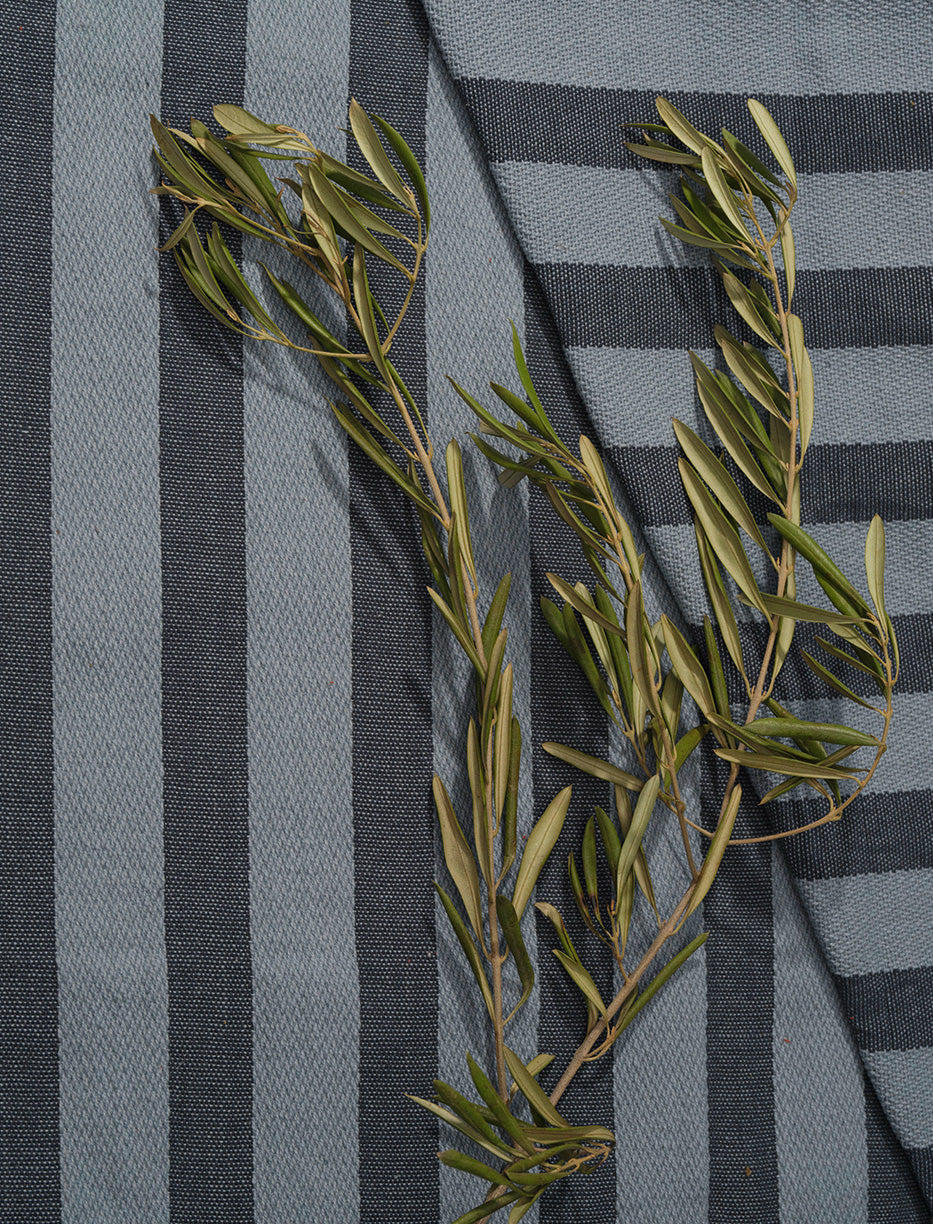 Taza Stripe in Cornflower