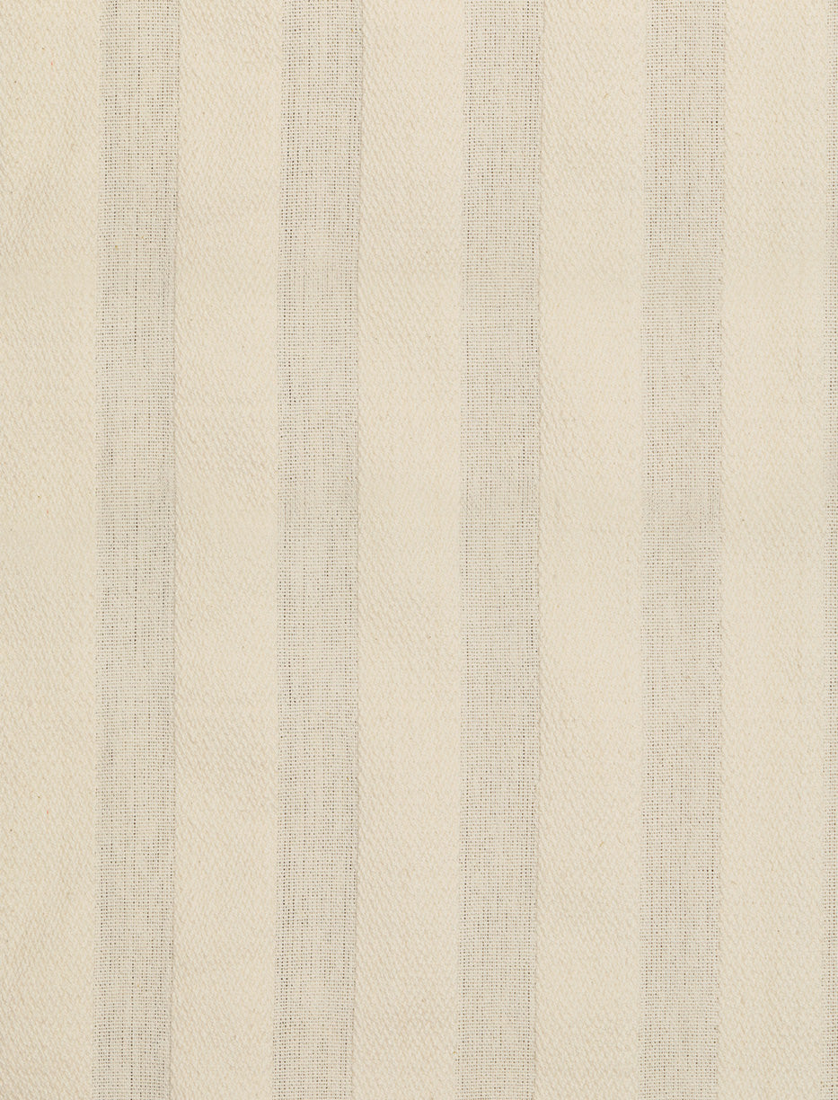 Taza Stripe in Tuberose