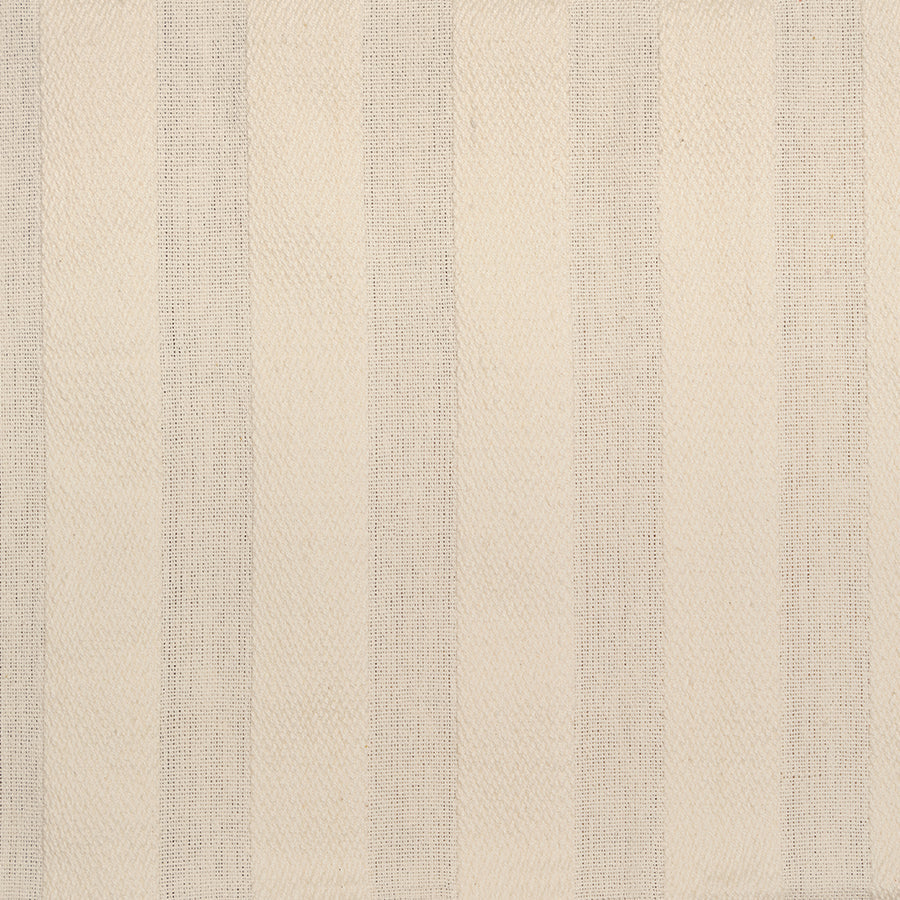 Taza Stripe in Tuberose